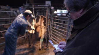 Z’azimut Films et France 3 Bourgogne
