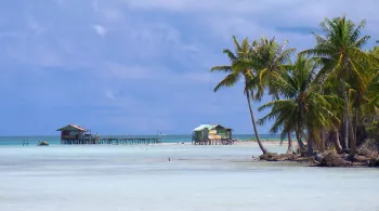 POLYNÉSIE, LES SECRETS D'UN PARADIS