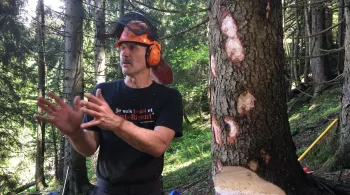 Le bûcheron des cimes