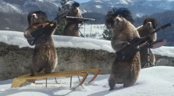 Marmottes