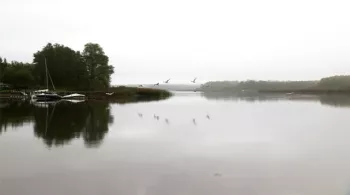 Oiseaux en envol - © Nomades TV