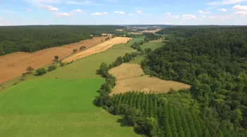 Bataille pour un parc