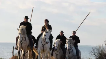 Chroniques Méditerranéennes
