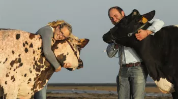 Salon de l'agriculture 2017 du 20 Février au 5 Mars