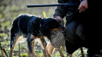 chasseur
