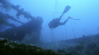 MARTINIQUE, SUR LES TRACES DE RORAIMA