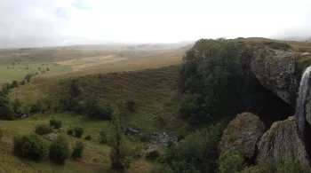 Aubrac