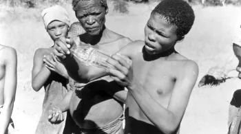 LES DIEUX SONT TOMBES SUR LA TETE