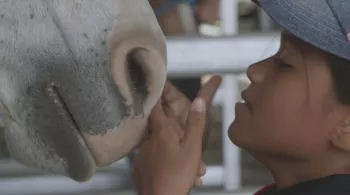 UN JOUR EN FETE NOUVELLE-CALEDONIE
