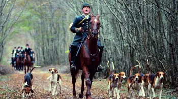 chasse