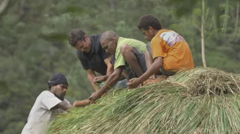 DES MURS EN HERITAGE, NOUVELLE-CALEDONIE