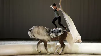 Cheval passion
