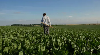 Un agriculteur dans un champ