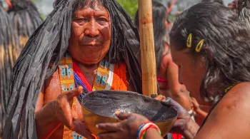 LE MARAKE DE BRANDON