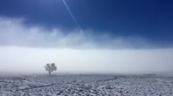 Au coeur de l'hiver