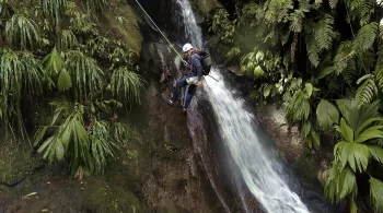 SUR LA ROUTE DES CASCADES DE GUADELOUPE