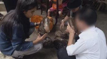 TRAFIQUANTS, LE COMMERCE D'ANIMAUX EXOTIQUES