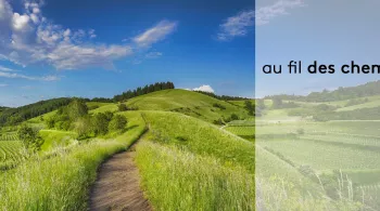 Offre Numérique
