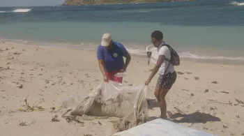 CONFRONTATIONS SAINTE LUCIE