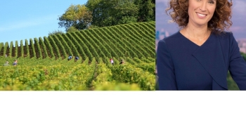 Jour de Vendanges c France 3