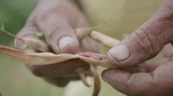 NOUS, GENS DE LA TERRE