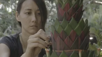 KAZ, LES GENS DE LA TERRE