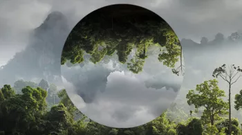 environnement
