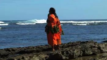 MEDECINES D'OUTRE-MER ET D'AILLEURS