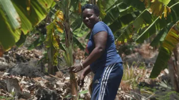 NOUS LES GENS DE LA TERRE