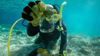 INFINIMENT GRAND, INFINIMENT BLEU