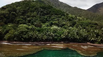 LE TRESOR VERT DU CAILLOU