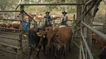 GENS DE LA TERRE - NOUVELLE-CALEDONIE