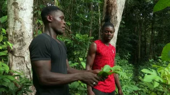 MEDECINES D'OUTRE-MER