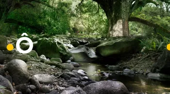 © GUYON Nathalie / FTV