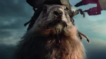 Marmottes Caraïbes