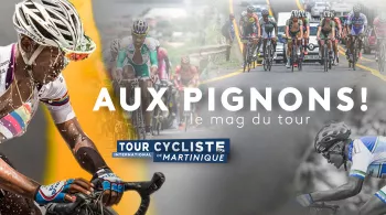 Magazine Aux Pignons !