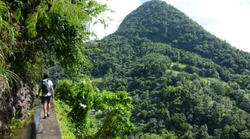 LA MARTINIQUE A PIED