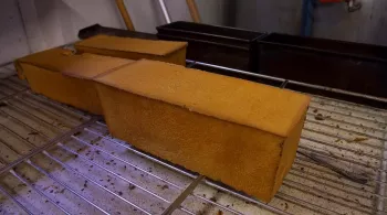 Pain de mie