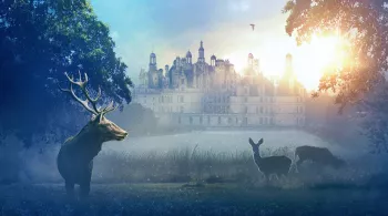 Chambord