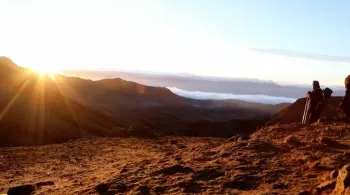 NOUVELLE ZELANDE, LA RECONQUETE MAORI