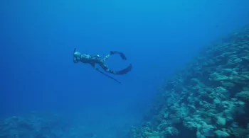 3 NUANCES DE BLEU - LE PACIFIQUE, UN OCEAN EN HERITAGE
