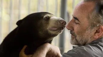 Le Messager: Antoine DULERY et les ours au Cambodge