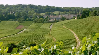 LES 100 LIEUX QU'IL FAUT VOIR