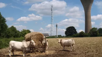 © Avenir Agricole.jpeg