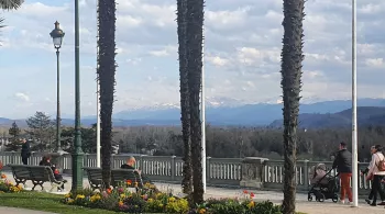 Bis le magazine de la curiosité à Pau