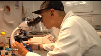 Les Nouveaux Défis, votre rendez-vous avec l’économie de l'île sur Réunion la 1ère : Best of 2025