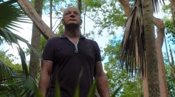 Les derniers Blancs Matignon de la Guadeloupe 