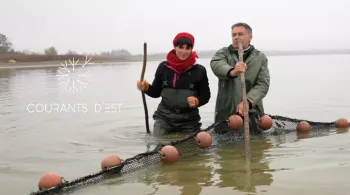 Courants d'Est - Les gardiens des étangs de Lachaussée - SOURCE FTV 