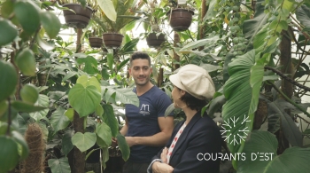 Courants d'Est - Le jardin botanique de Jean-Marie Pelt - crédit FTV