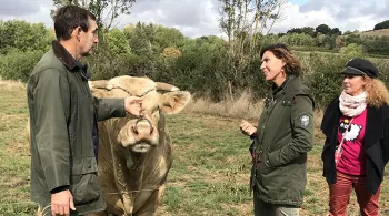 Ça roule en cuisine au Vaudésir à Avallon